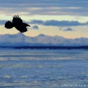 Meet your Posher, Emmet